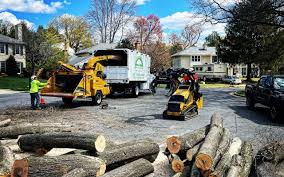 Best Lawn Pest Prevention  in Atascocita, TX