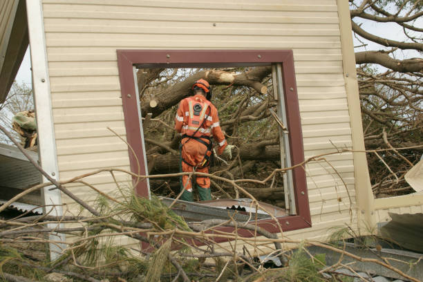 How Our Tree Care Process Works  in  Atascocita, TX