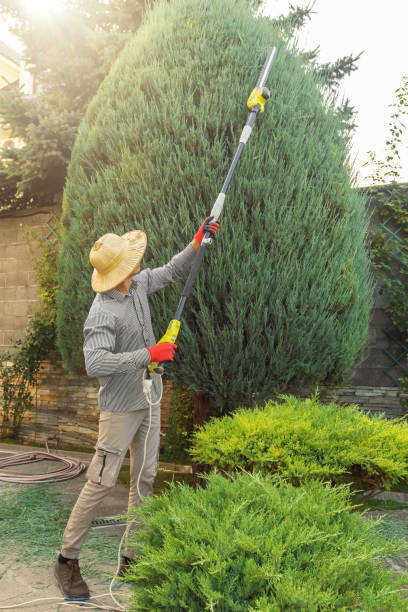 Lawn Maintenance Plans in Atascocita, TX